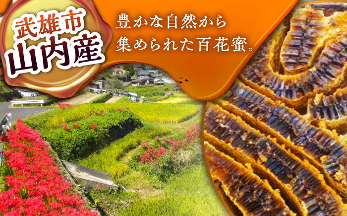 日本蜜蜂 百花 はちみつ 計600g（200g×3）純粋蜂蜜 /永尾 忠則 [UAS005] 蜂蜜 はちみつ ハニー