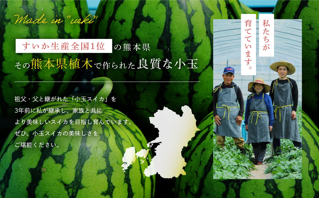 【2026年4月上旬～4月下旬迄順次発送予定】【上村農園】 小玉すいか 約2.3kg2玉 ひとりじめ  春スイカ 植木 スイカ