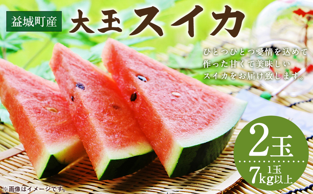 益城町産 スイカ 大玉 7kg以上×2玉