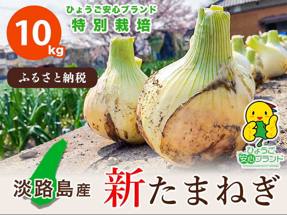【あさひサンファーム】兵庫県認証★特別栽培★淡路島新たまねぎ【10㎏】