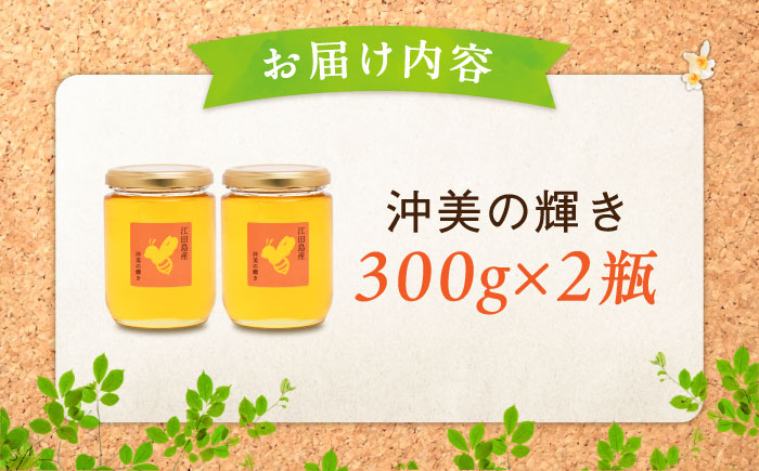 【全12回定期便】江田島産100％ はちみつ 沖美の輝き300g×2本 ハチミツ 蜂蜜 国産 広島 江田島