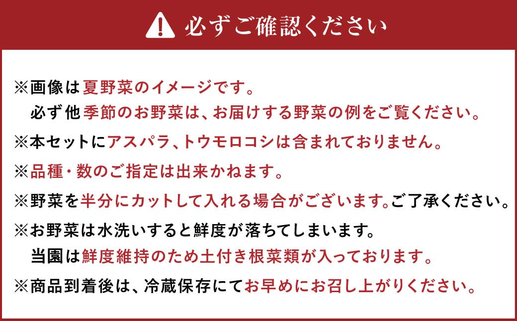 有機JAS認定 季節の野菜詰め合わせ ～有機野菜セットC～ 