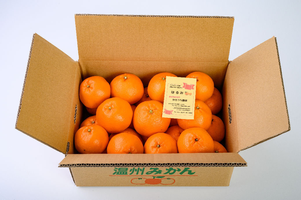 商品発送イメージ