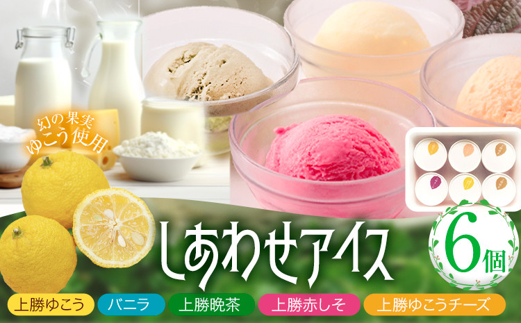 晩茶・赤しそ・ゆこう・ゆこうチーズ・徳島バニラの5種類のアイスを6個セットにしました。