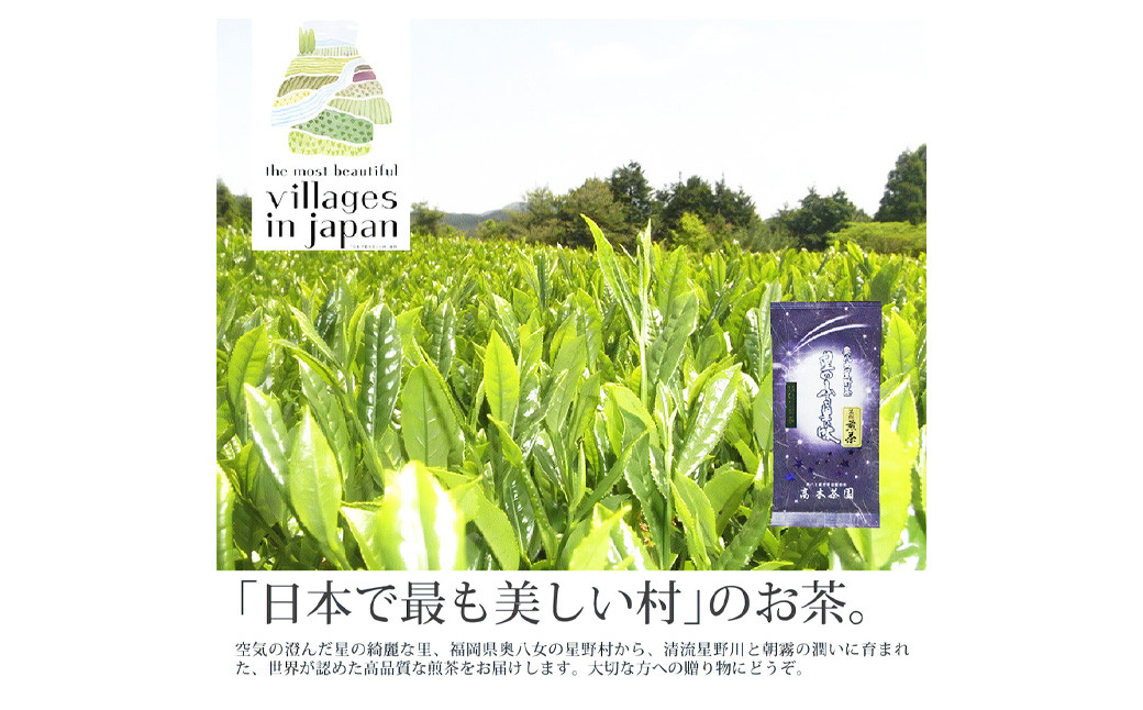 【6ヶ月定期便】【八女茶】奥八女星野村 深蒸し高級煎茶(深蒸し茶)100g×2袋