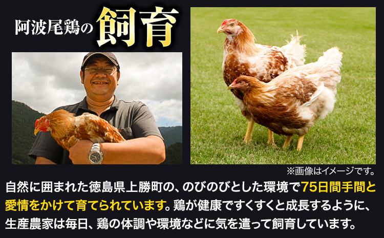 もも腿肉もむね肉もジューシーでコクのある阿波尾鶏を楽しんでください。