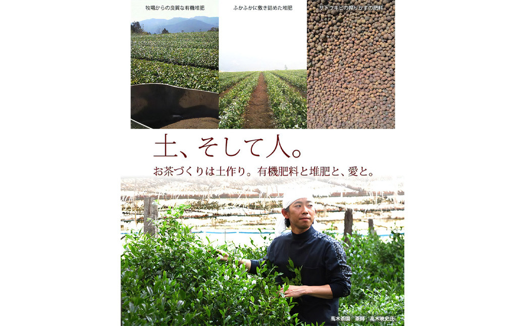【八女茶】奥八女星野村 深蒸し高級煎茶(深蒸し茶)100g×2袋