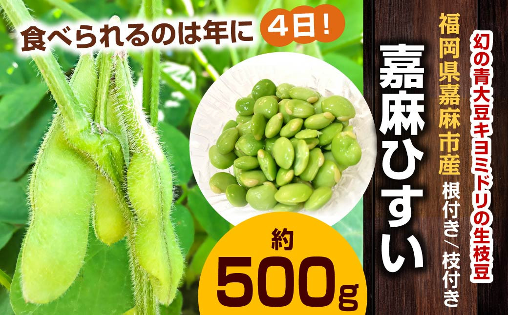年に1度の青々とした若さをお届け！希少な嘉麻ひすい根付き枝付き 生枝豆 約500g
