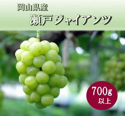 写真はイメージです。