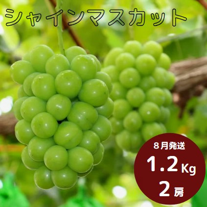 写真はイメージです。