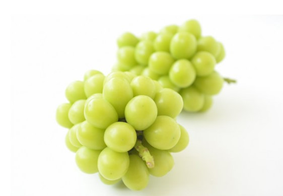 写真はイメージです。