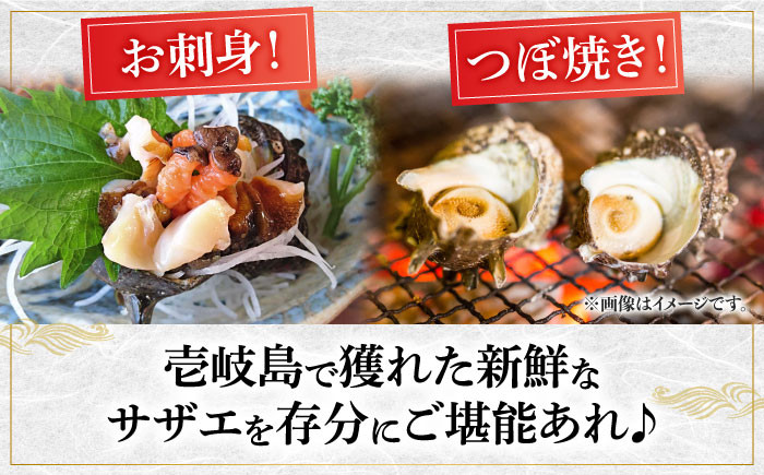 人気 魚介 ごはんのお供 朝食 昼食 夕食 夜食 セット 朝食 昼食 夕食