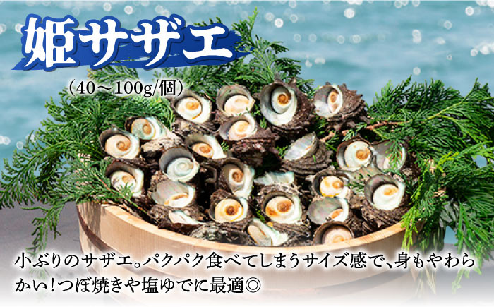 人気 魚介 ごはんのお供 朝食 昼食 夕食 夜食 セット 朝食 昼食 夕食