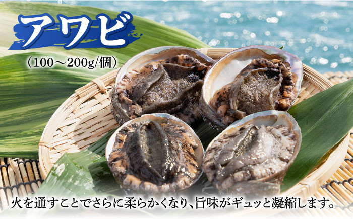 人気 魚介 ごはんのお供 朝食 昼食 夕食 夜食 セット 朝食 昼食 夕食