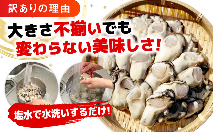 生牡蠣 むき身 牡蠣 かき カキ 広島牡蠣 オイスター kaki 訳あり