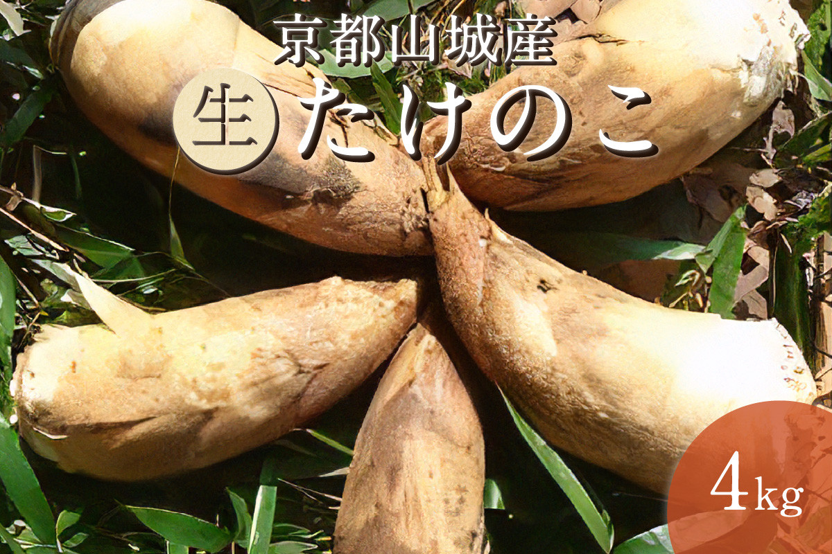 京都府山城産たけのこ４ｋｇ（生）