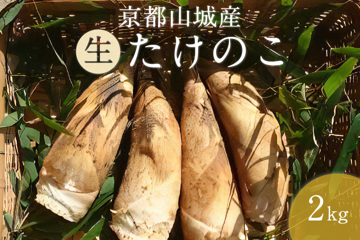 京都山城産たけのこ２ｋｇ（生）