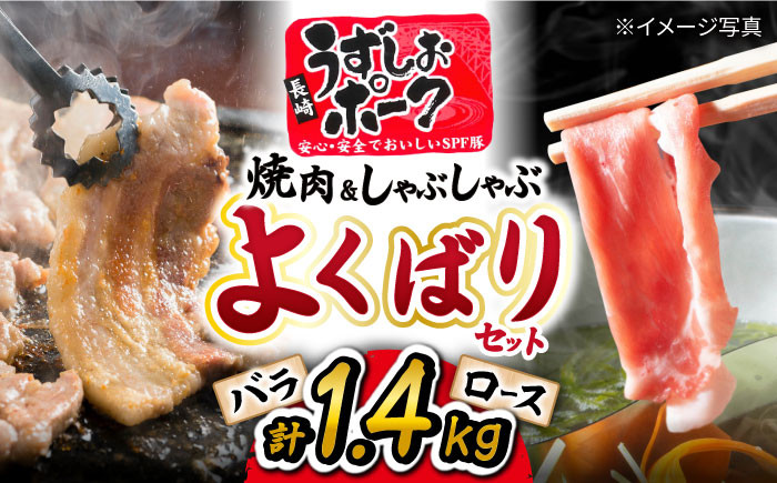 国産豚 焼肉 しゃぶしゃぶ 計1.4kg
