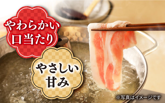 長崎うずしおポーク 焼肉 & しゃぶしゃぶ セット 1.4kg 訳あり
