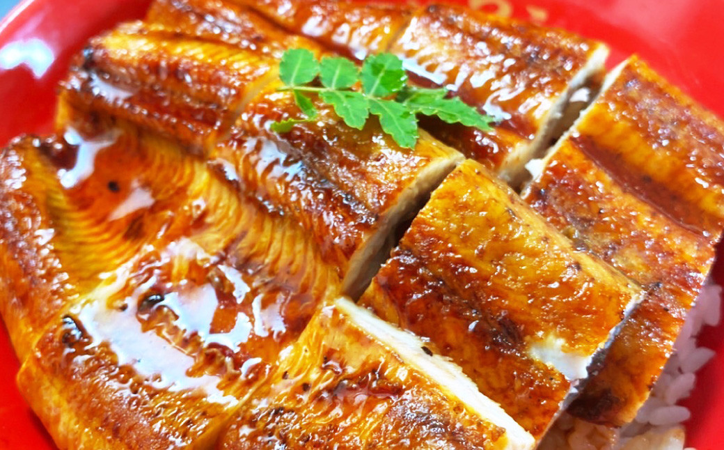 特上うなぎ 計約600g(200g×3尾)タレ付き