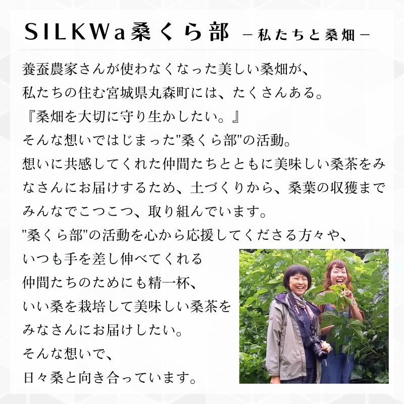  ひっぽの桑茶10袋セット
