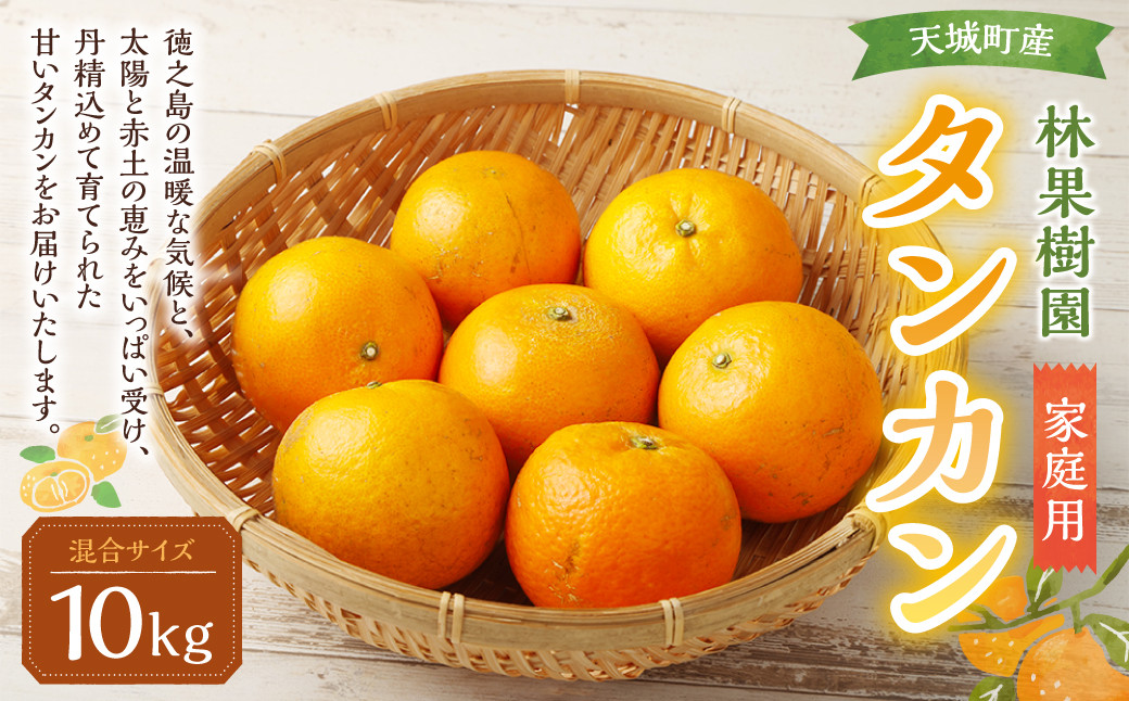 林果樹園 徳之島産 タンカン【ご家庭用】混合サイズ 10kg