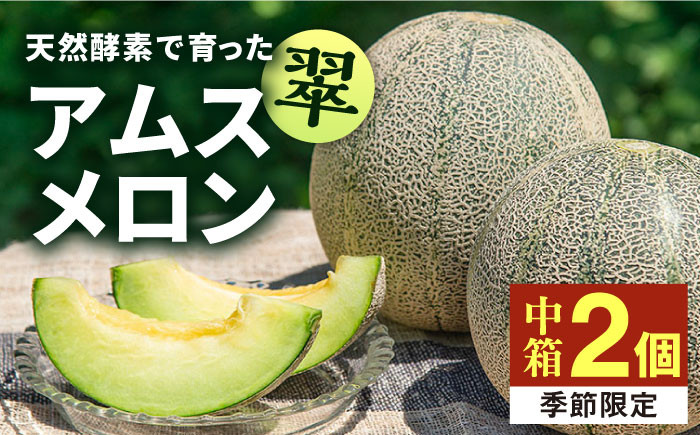 メロン めろん アムスメロン 果物 くだもの 果実 フルーツ デザート ギフト 