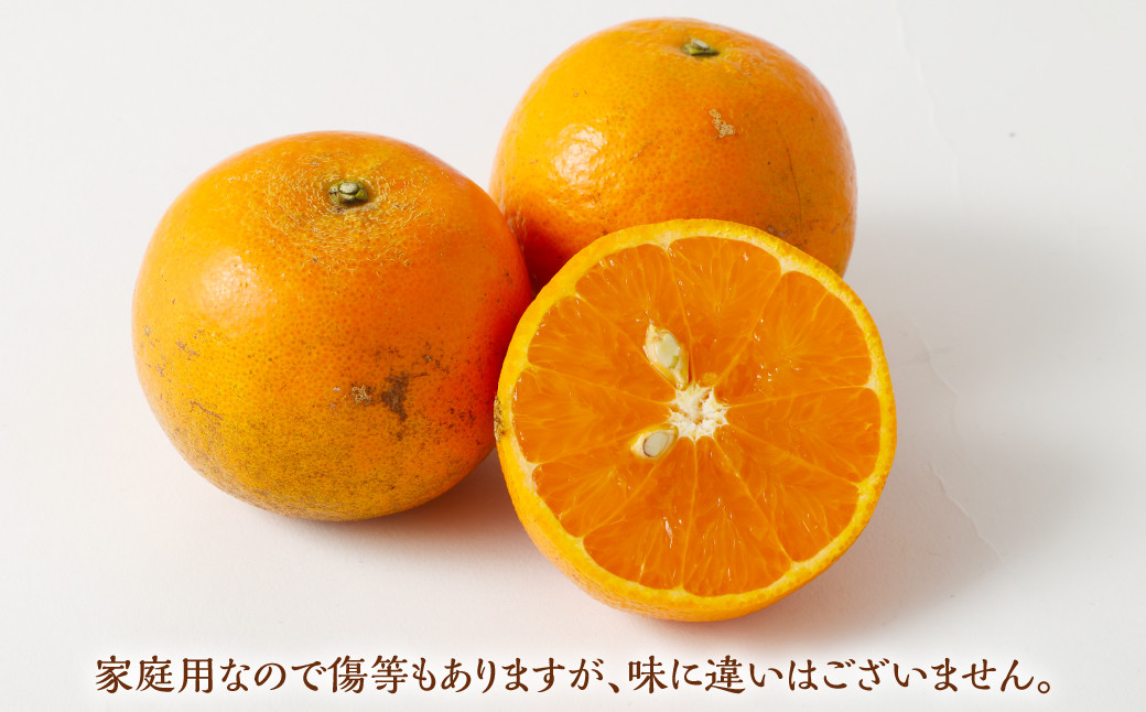 林果樹園 徳之島産 タンカン【ご家庭用】混合サイズ 10kg