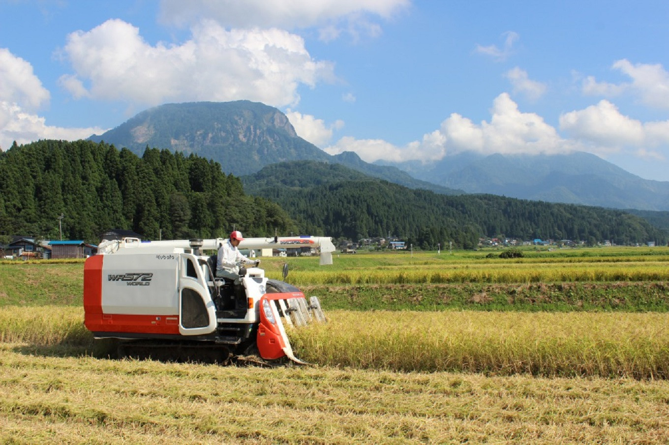 冬の豪雪は酒造りに適した、柔らかな地下水をもたらします