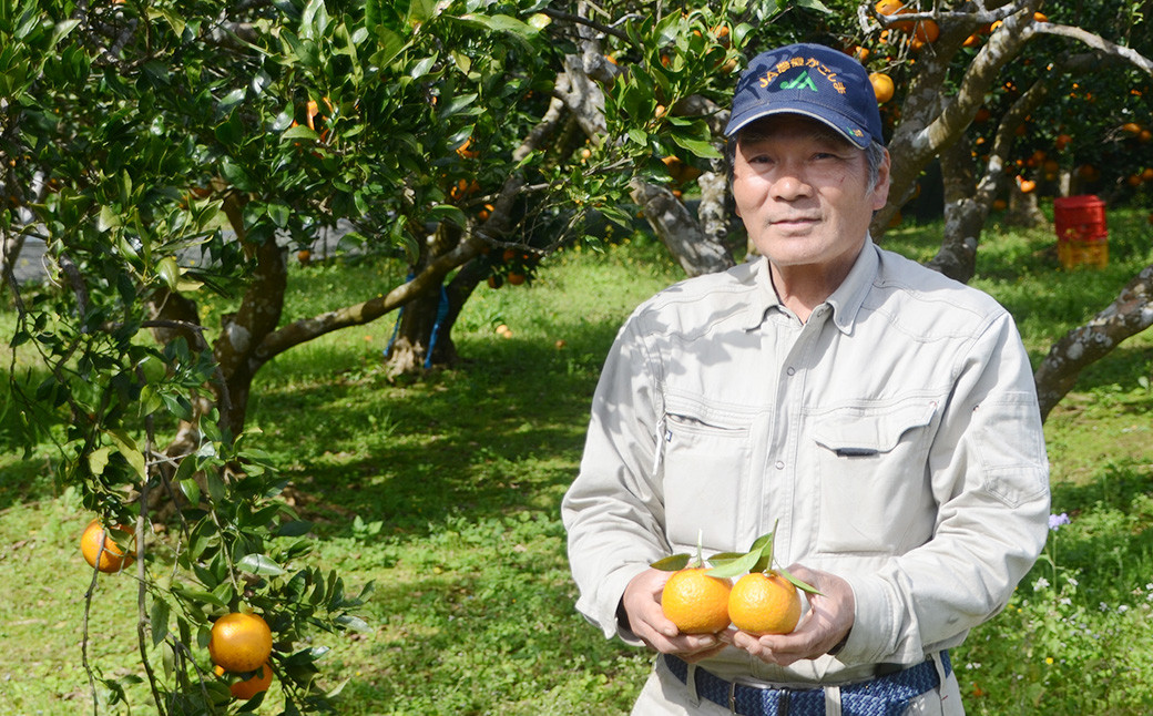林果樹園 徳之島産 タンカン【ご家庭用】混合サイズ 5kg 
