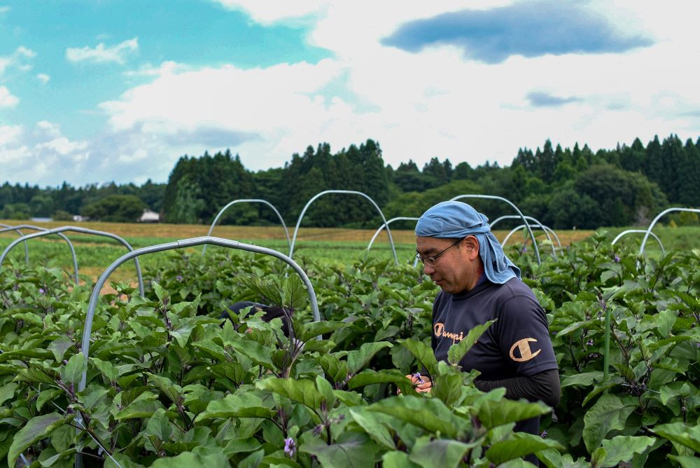 作業風景です。手作業で管理しています。