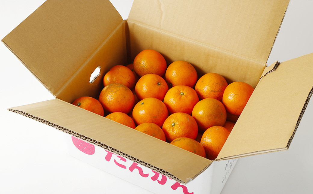 林果樹園 徳之島産 タンカン【ご家庭用】混合サイズ 5kg 