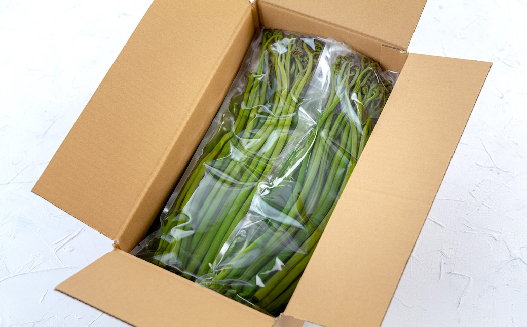 西わらびの煮わらびパックを段ボール箱に入れて農家直送でお届けします。