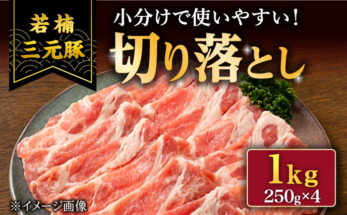 若楠三元豚 豚肉 切り落とし 肉 豚 お肉 国産 人気 スライス
