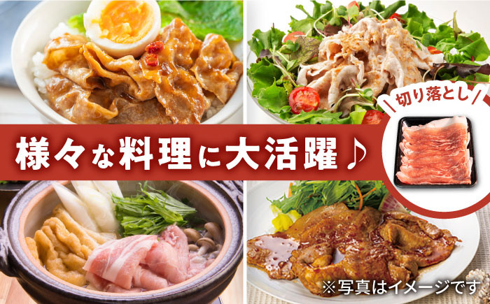 若楠三元豚 豚肉 切り落とし 肉 豚 お肉 国産 人気 スライス