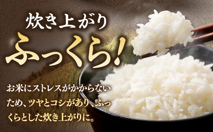 おすすめ オススメ こだわり ギフト 人気 特産品 贈り物 ギフト  