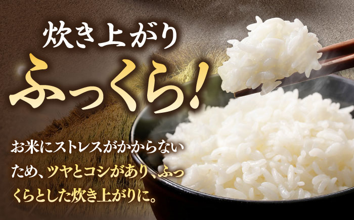 人気 贈り物 ギフト