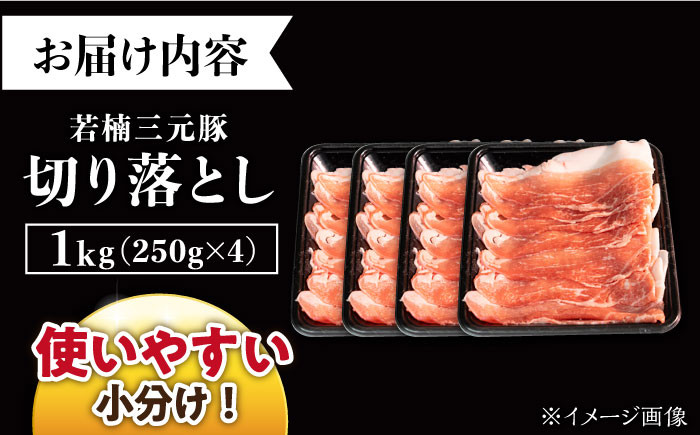 若楠三元豚 豚肉 切り落とし 肉 豚 お肉 国産 人気 スライス
