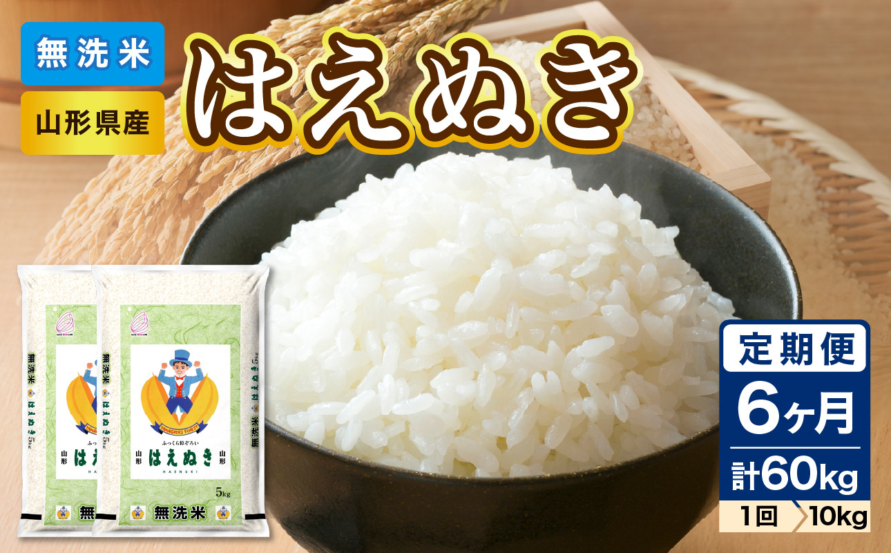 《6ヶ月定期便》山形県産 無洗米 はえぬき 10kg(5kg×2袋)×6ヶ月(計60kg)【山形県産 BG精米製法】