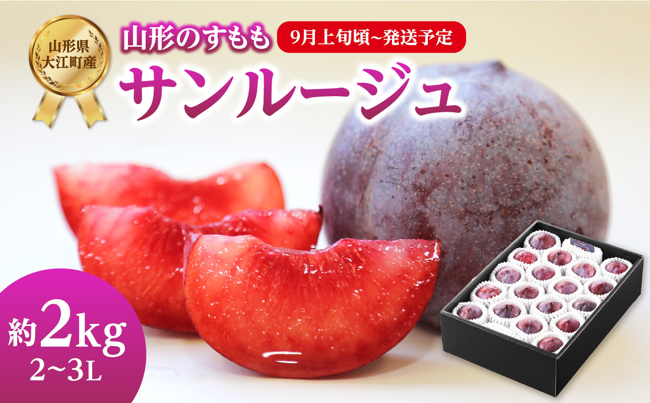 《先行受付》すもも「サンルージュ」約2kg 2～3L【2026年9月上旬頃～発送予定】【山形プラム・大江町産】