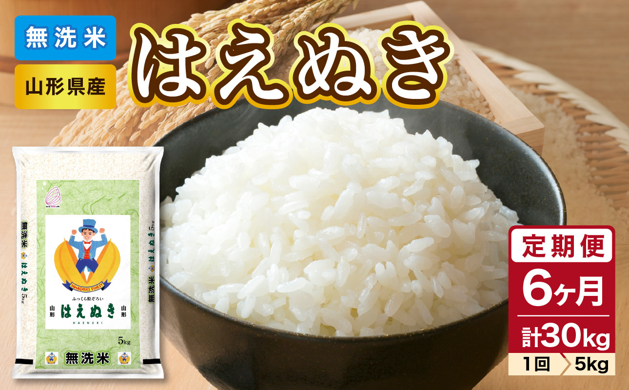 《6ヶ月定期便》山形県産 無洗米 はえぬき 5kg×6ヶ月(計30kg)【山形県産 BG精米製法】