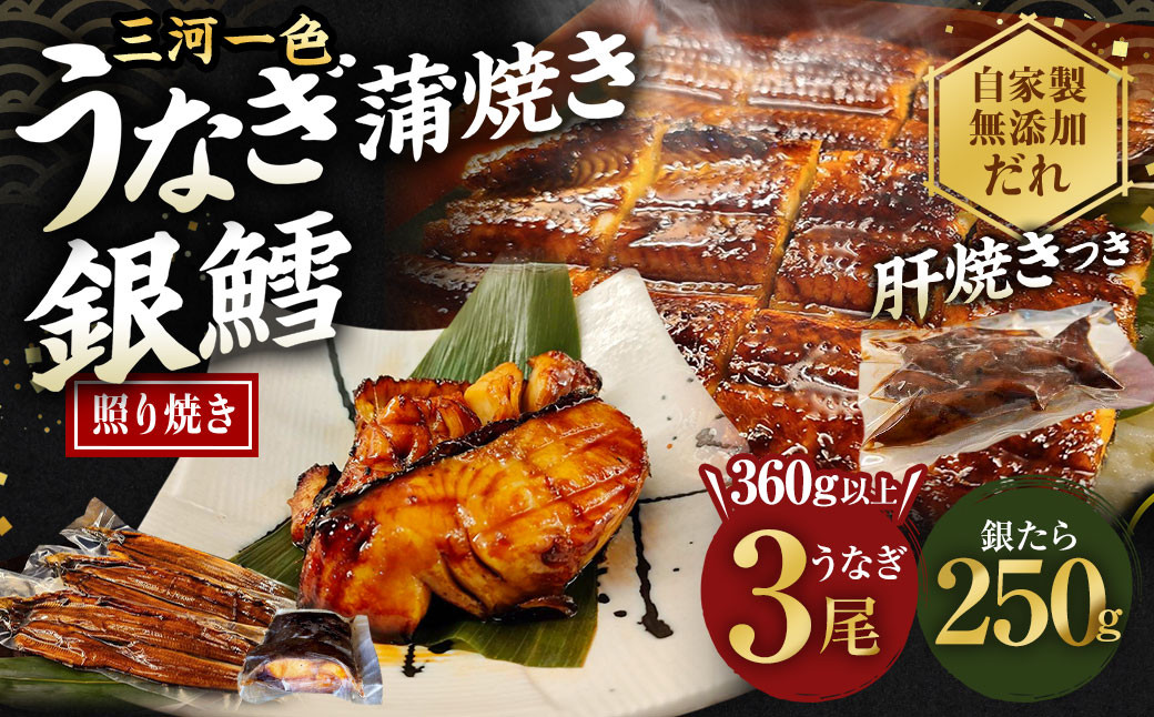 三河一色 うなぎ 蒲焼き 3尾 × 銀たら 3切れ (肝焼き付き) 鰻 ウナギ タラ 鱈 銀鱈