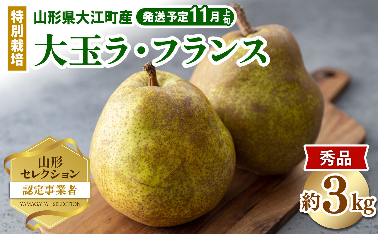 《先行受付》特別栽培 大玉 ラフランス 約3kg・秀品4L～3L   【2026年11月上旬頃～発送予定】