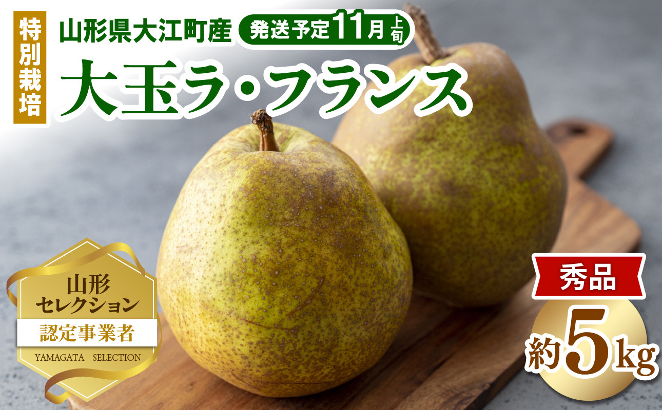 《先行受付》特別栽培 大玉 ラフランス 約5kg・秀品4L～3L 【2026年11月上旬頃～発送予定】