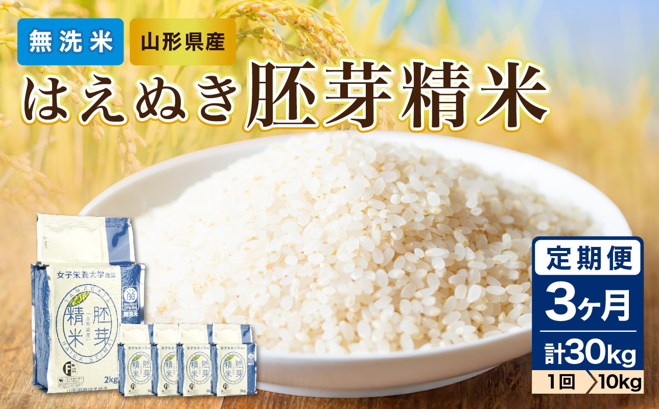 《3ヶ月定期便》山形県産 無洗米 はえぬき 胚芽精米 10kg(2kg×5袋)【山形県産 BG精米製法】