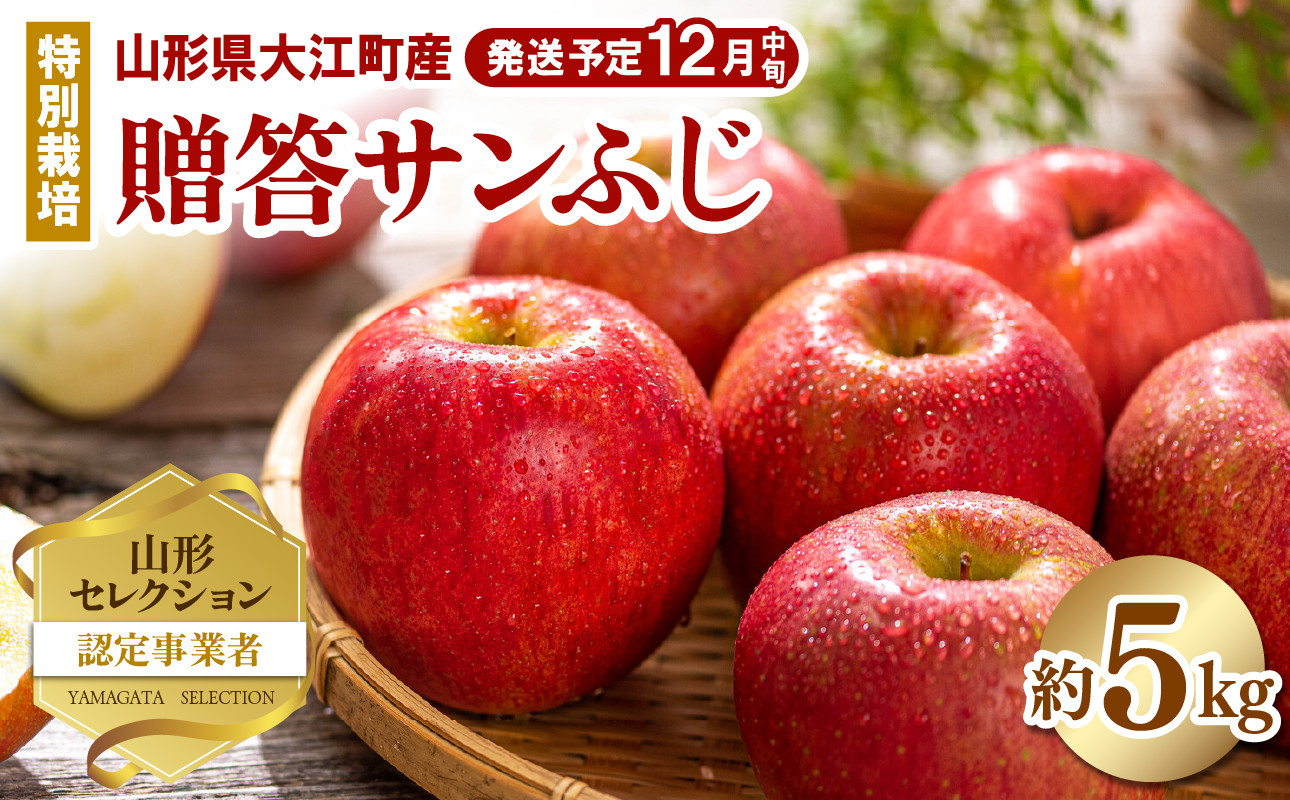 《先行受付》特別栽培 贈答規格サンふじ約5kg 【2026年12月中旬頃～発送予定】