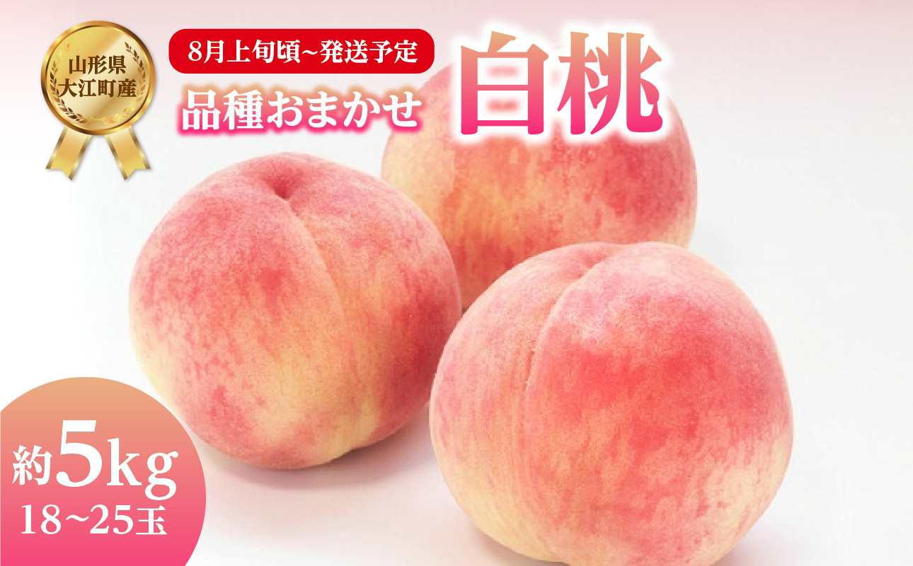 先行受付》おまかせ 白桃 約5kg（18～25玉）【2025年8月上旬頃～発送予定】【山形もも・大江町産】