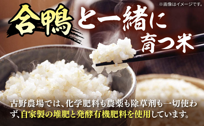 [栽培期間中農薬不使用]古野農場 合鴨農法 合鴨米（玄米）6kg 