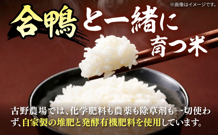 [栽培期間中農薬不使用]古野農場 合鴨農法 合鴨米（白米）3kg