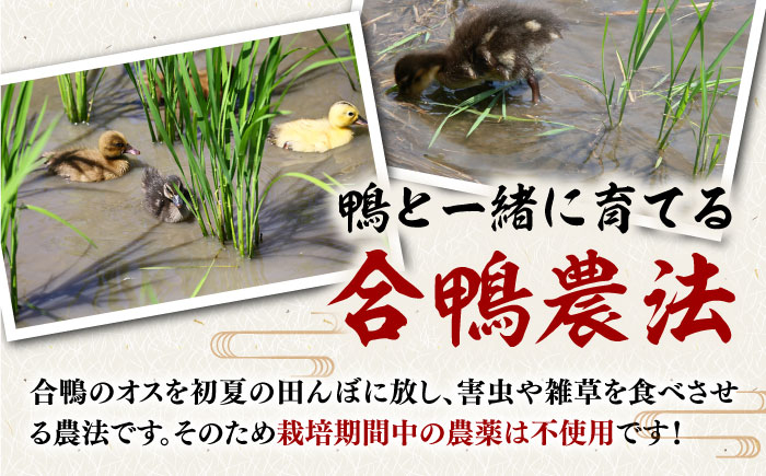 [栽培期間中農薬不使用]古野農場 合鴨農法 合鴨米・(玄米)3kg